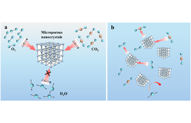 Design hydrophobic-internal and hydrophilic-external micropores for the preparation of microporous water 2025.100701